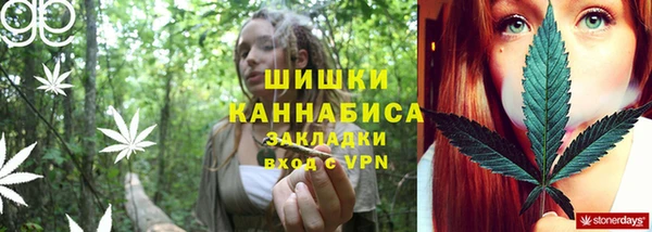 дмт Алзамай