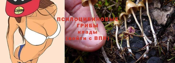 дмт Алзамай