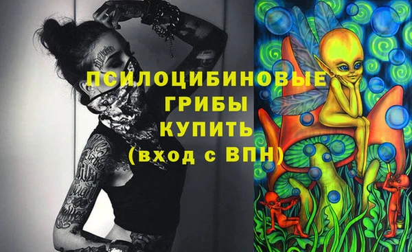 дмт Алзамай