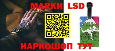 mdpv Гатчина