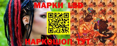 mdpv Гатчина