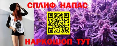 не бодяженный Гай