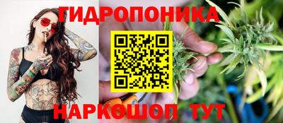 mdpv Гатчина