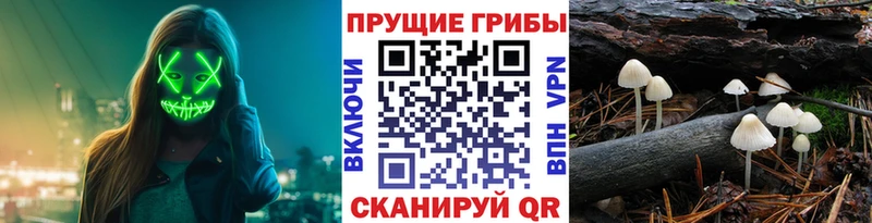 Галлюциногенные грибы MAGIC MUSHROOMS  продажа наркотиков  Беслан 