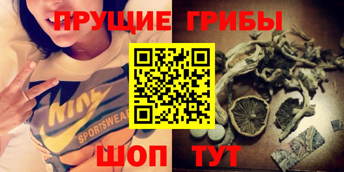 Галлюциногенные грибы Psilocybe  Вход с VPN  где купить наркоту  Беслан  Галлюциногенные грибы GOLDEN TEACHER 