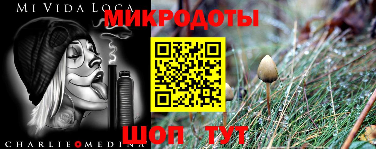 Галлюциногенные грибы Psilocybine cubensis Беслан